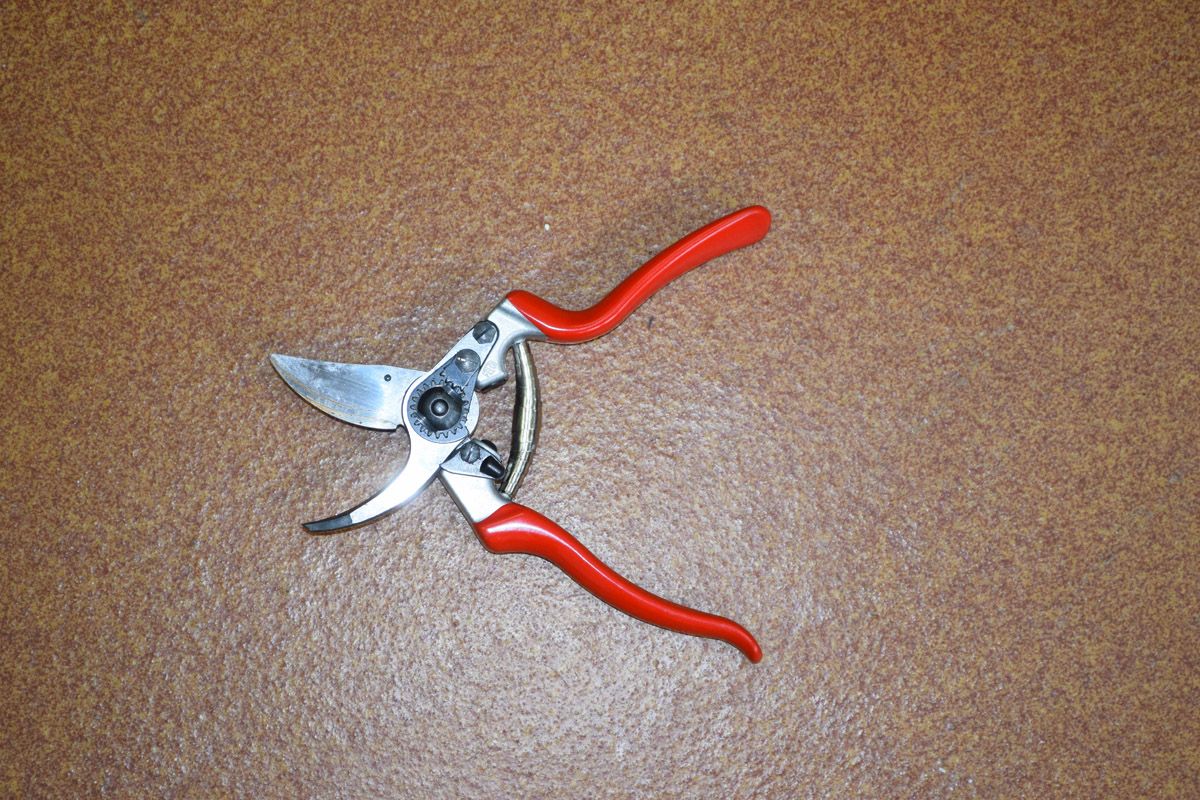 Rebschere Felco Nr. 8 verkleinert